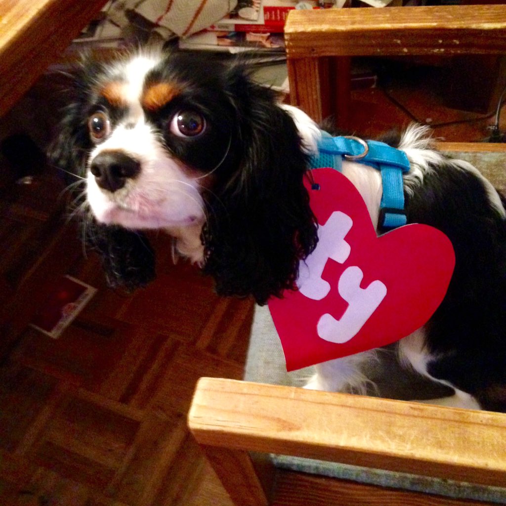 ChesterCece's tweet photo. #halloween2015 #halloweencostume 🎃🍁😚 https://t.co/SM7BGNpDi7