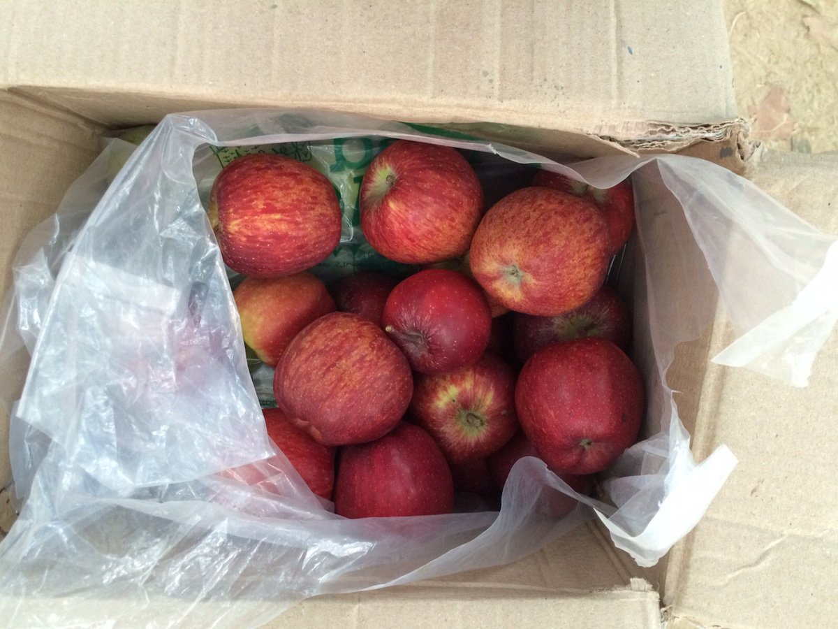 PreventionInd's tweet photo. Guess who dropped by at our morning run? @ISayOrganic brought in their freshest apples straight from the orchard https://t.co/RIX7l3kbwr