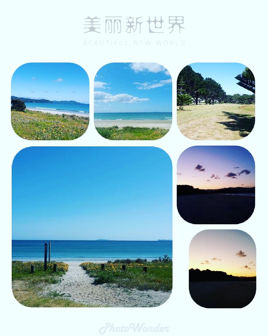 CyprisPine20's tweet photo. #newzealand https://t.co/fMRQGcWtzv