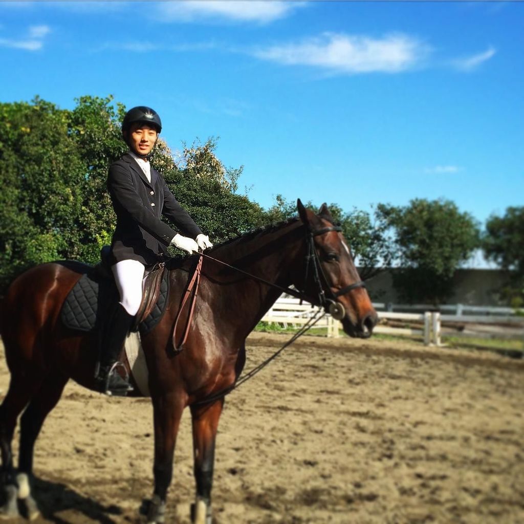 EQPpics's tweet image. Post by funahms: 馬場馬術1級認定会 w/Ayanishiki
#certification #examination #licencetest #dressage #dressagerider #horse #h…