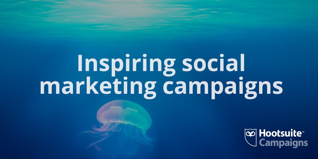 hootsuite's tweet photo. Combine your creative ideas with a campaign platform to generate new leads: https://t.co/g2kWoDrpvX https://t.co/bdtQznEnoP