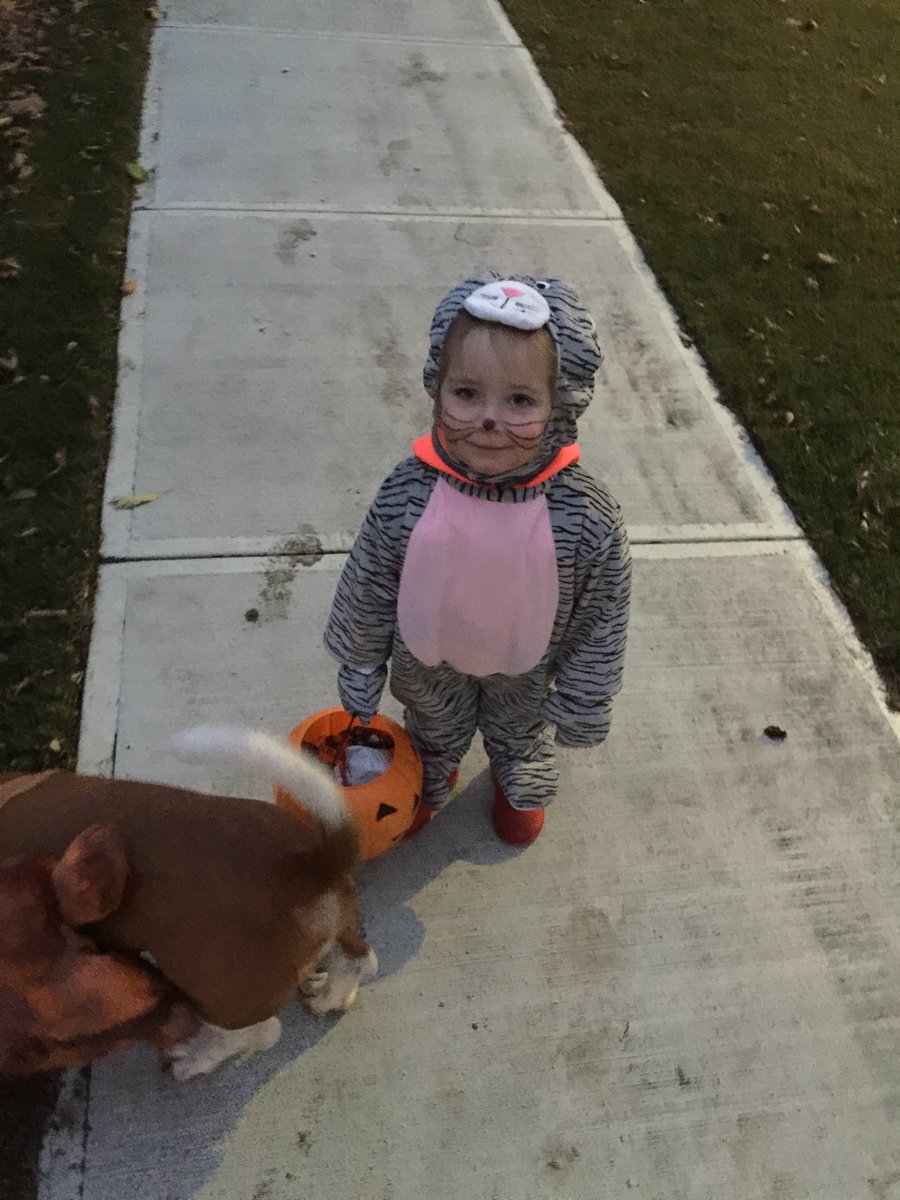 mtthssml's tweet photo. #HappyHalloween #AvaHelps https://t.co/qaNm3rwlxg