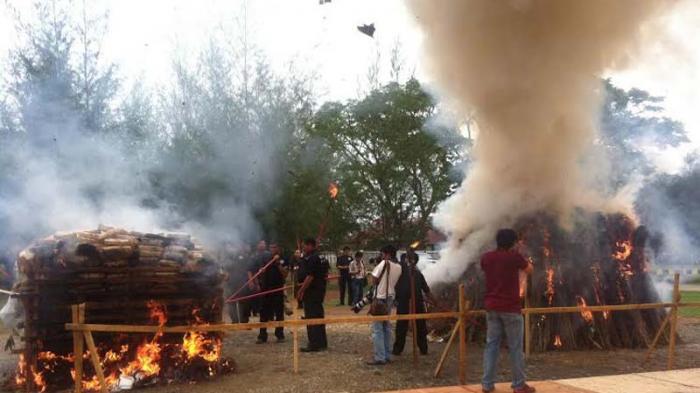 29 Ton Ganja yang Sebenarnya Bisa Jadi Bahan Obat Segala Penyakit, Dibakar.
m.tribunnews.com/regional/2015/…
via <a href="/tribunnews/">Tribunnews.com</a>