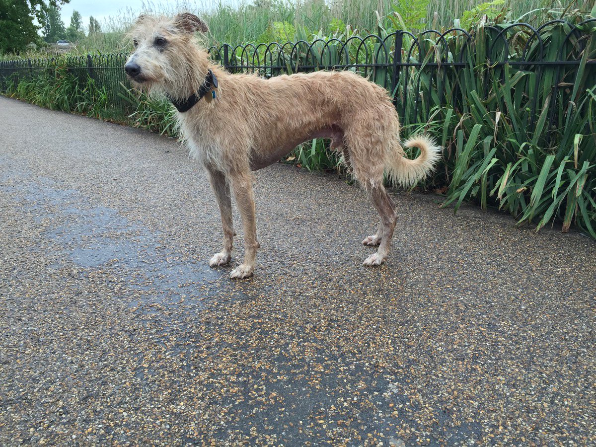 Kate Spicer tweet media