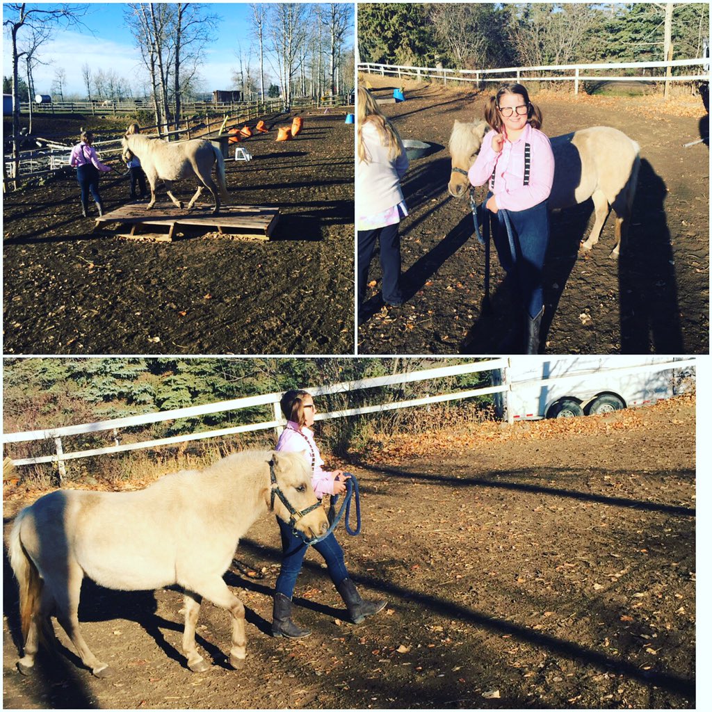 TanjaBaker1's tweet photo. First trail class!! #proudmomma #pony #trailclass https://t.co/F3qZ0ZQqeb