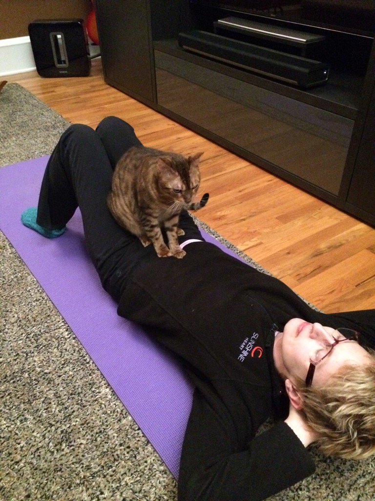 stpauljim's tweet photo. #TrainerCat stresses the importance of focusing on your abs. https://t.co/CPvqRxC2gU