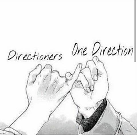 isaskzoo0's tweet photo. ❤❤❤😭😭 #OneDirection #lovedirectioners #Promise #Directioners @EquipeDirection #OTRASheffield3 https://t.co/2lsUwBTHSh