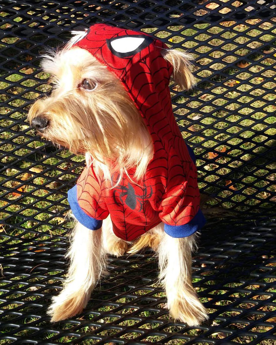 alejandro_garza's tweet photo. Happy Halloween! #7News https://t.co/TQdRnGb2QP