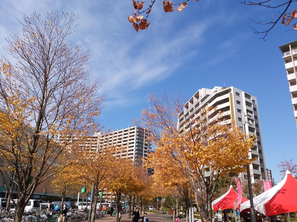 あゆみ野農協安行園芸センター Engei Center Twitter