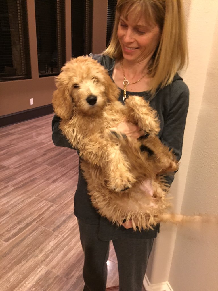 Matrangaj's tweet image. And Dolly, too.