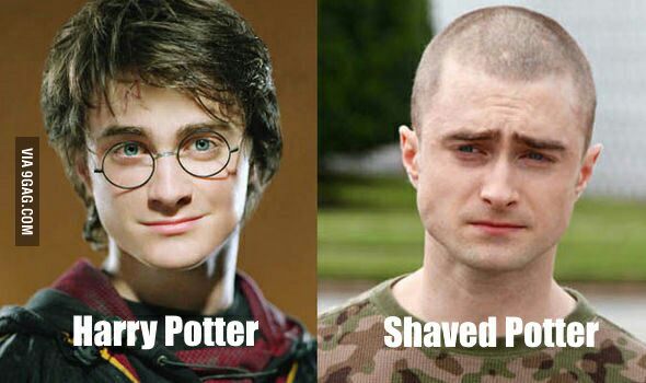 Hairy Potter 
9gag.com/gag/axGQgqD?re…