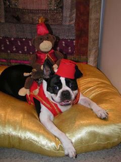 RossahBendahman's tweet image. #HOWLween