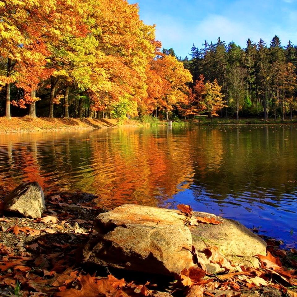 SuzanneLepage1's tweet photo. #HappySunday everyone :-) https://t.co/80mMnFmQ4U