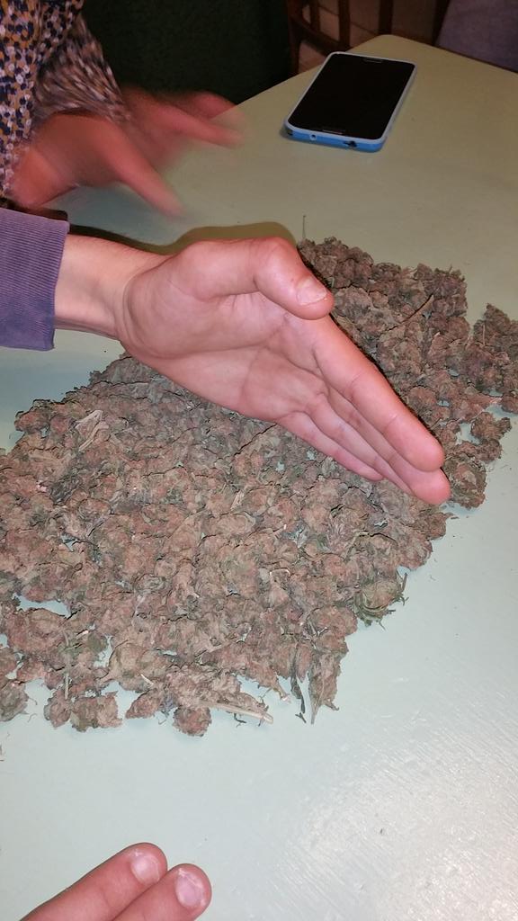 simo420gala's tweet photo. Se spartisceee 😂 #gr00 #bunkerhaze https://t.co/O0JHbDEkfe