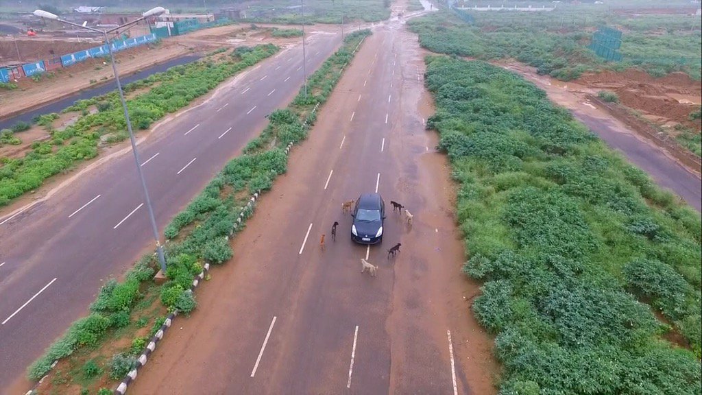 IlnbProductions's tweet photo. Only in India #onlyinindia #indiastreets #dogsoftwitter #suzukiswift #aerialphotography #dronephotography https://t.co/Tz1ptqgtjn