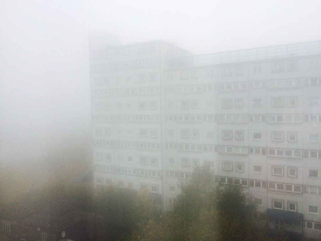 MayaVuckovic's tweet photo. #blurryvision https://t.co/K8reQ8OJe5