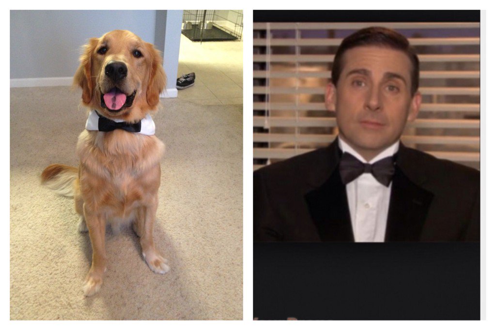 Kaleigh_Whiston's tweet photo. @CuteEmergency @cutesyapp @TheOfficePosts 2015 host of The Dundees is Tucker! https://t.co/PyhYZw2UNq