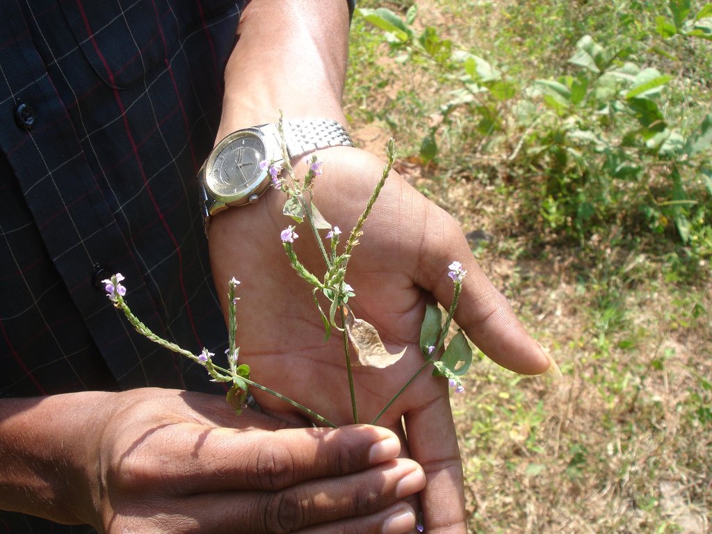 chilkathaiku's tweet photo. Quasi-Gravely
smatter pseudomonades
the fallibleness.
#daggle ❣ https://t.co/8hoeiZjR6n