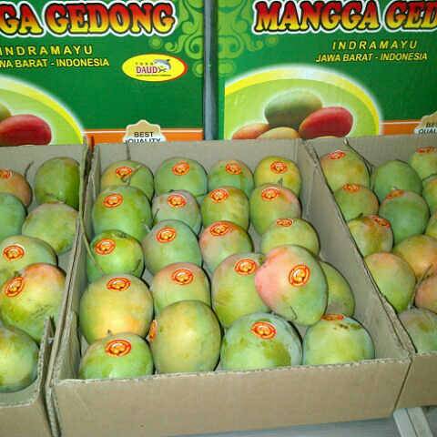 Toko_Daud's tweet photo. Mangga gedong gincu https://t.co/bmFWl4m9pM