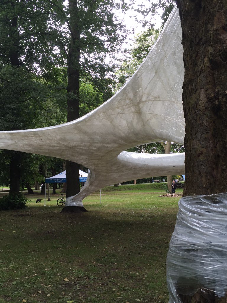 Beci79's tweet image. Summer 2015...Tape, Bute Park