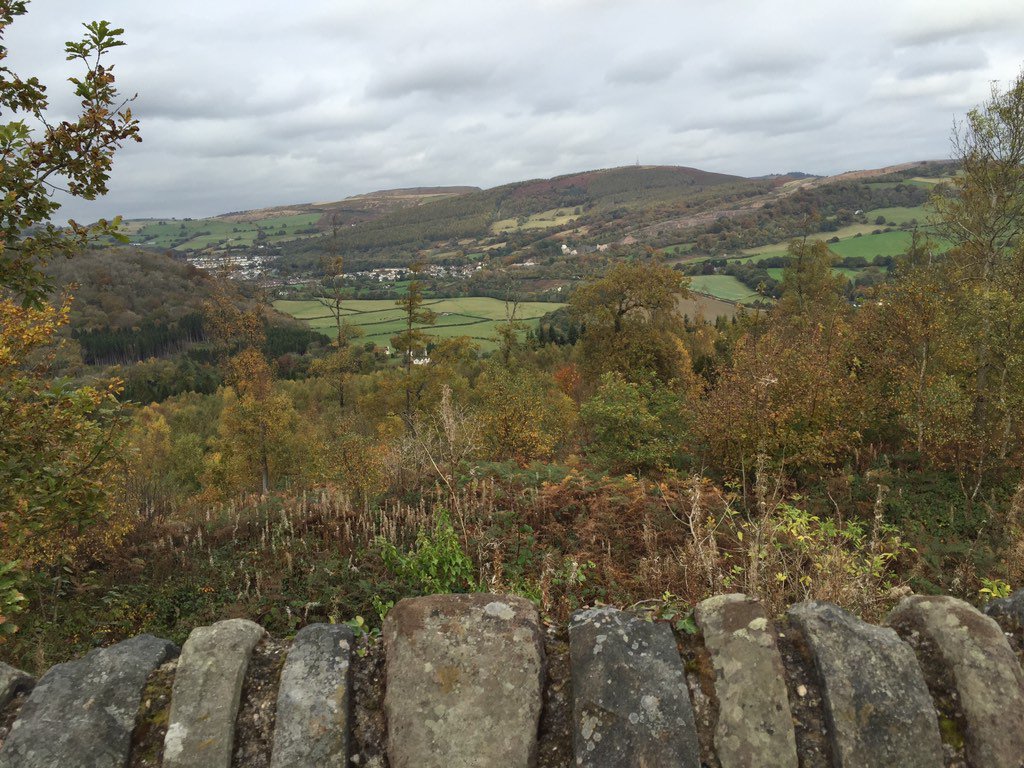 Beci79's tweet image. Autumn 2015...a walk in the woods