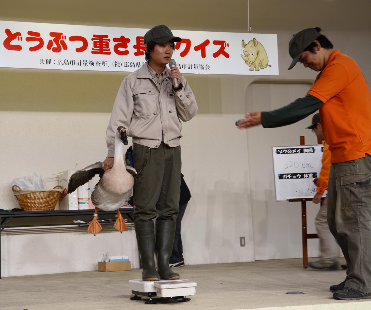 広島市安佐動物公園 公式 動物重さ長さクイズ で 動物たちの体重や胸囲を測りましたよ みなさんの予想はどうでしたか ゾウは ほぼ一生成長を続けると言われていますが メイちゃんも少し大きくなった かな T Co Uhfqzargnj Twitter