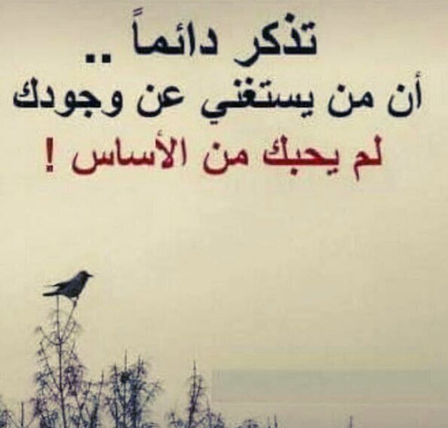 LadyLebanonD's tweet photo. https://t.co/CKyS4PsmHt