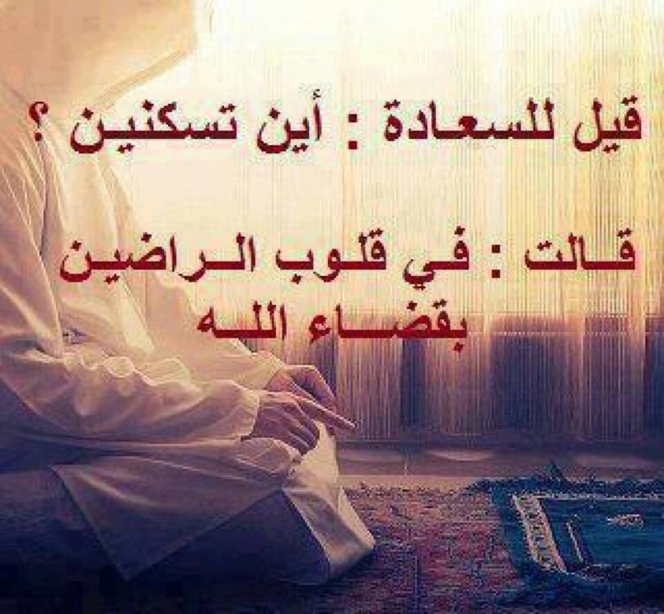 LadyLebanonD's tweet photo. https://t.co/lrl6PFqgbm