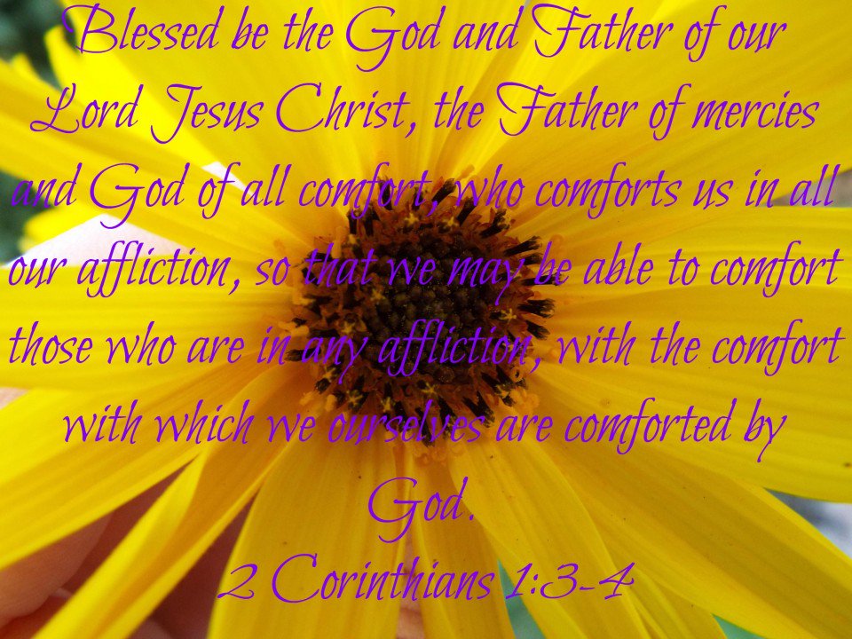 4showuright's tweet photo. Blessed B the #God &amp; #Father of our #LordJesusChrist! His Mercies R from #EverlastingToEverlasting. #GodofALLComfort https://t.co/ONlCzRBJ4Y