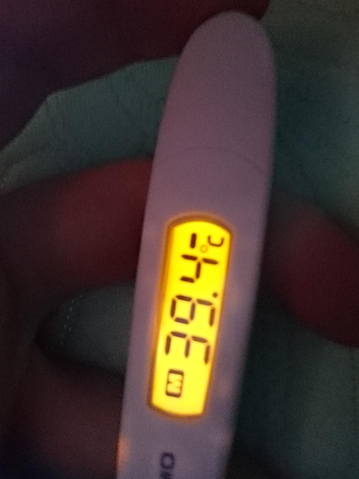 死にそう……