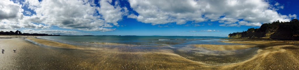 jenmurie's tweet photo. The All Blacks won, had a champagne breakfast and finished with a run to the beach #greatsunday https://t.co/77En57iOVz