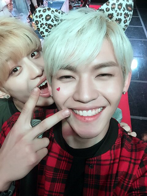 벌칙으로 고양이 분장한 아이돌ㅋㅋㅋㅋㅋㅋㅋㅋㅋㅋㅋㅋ.jpg | 인스티즈