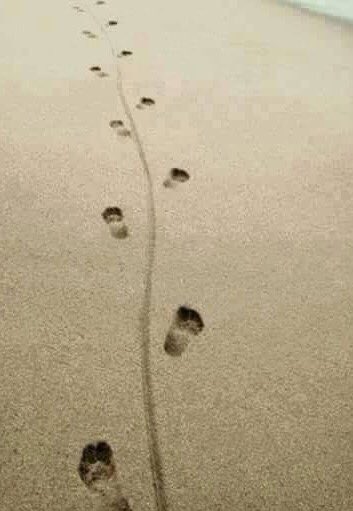suave_simon's tweet photo. Apparently I'm not welcome back to the nudist beach. #cockproblems https://t.co/ZZFa3AwyEU