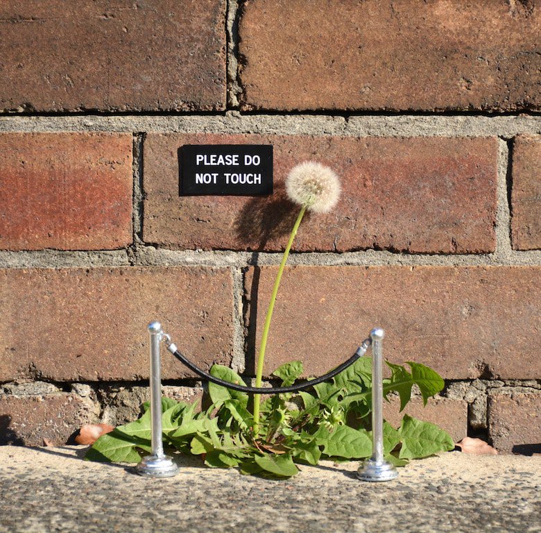 Ajouter des petits mots dans la rue pour faire sourire les passants piwee.net/1-petits-mots-… un peu @nooniestreetart