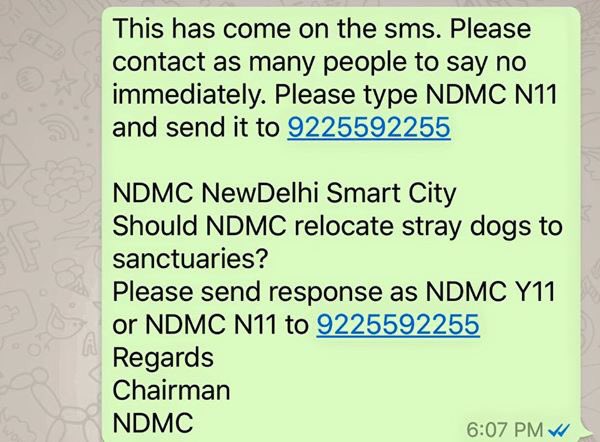 SaveKeralaDogs's tweet photo. Send SMS - NDMC N11 to 092-25-592255 to save Indian stray dogs  https://t.co/oClUyyEV8p @boycottkerala @speedy23567 @anjumahendroo @nekzaad
