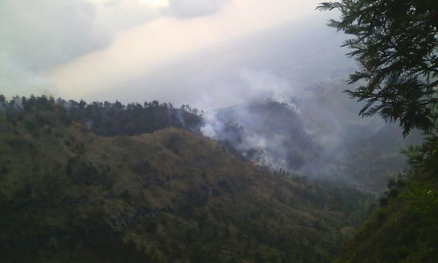 Asap kebakaran di Taman Nasional Gunung Merapi masih mengarah ke atas. 200 pendaki berhasil dievakuasi.