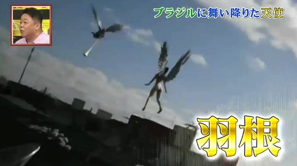 ゆたか En Twitter 天使ｗｗｗクソコラgpの映像版かよｗｗｗ Fujitv 映っちゃった映像gp T Co 2cp9kv8sxb