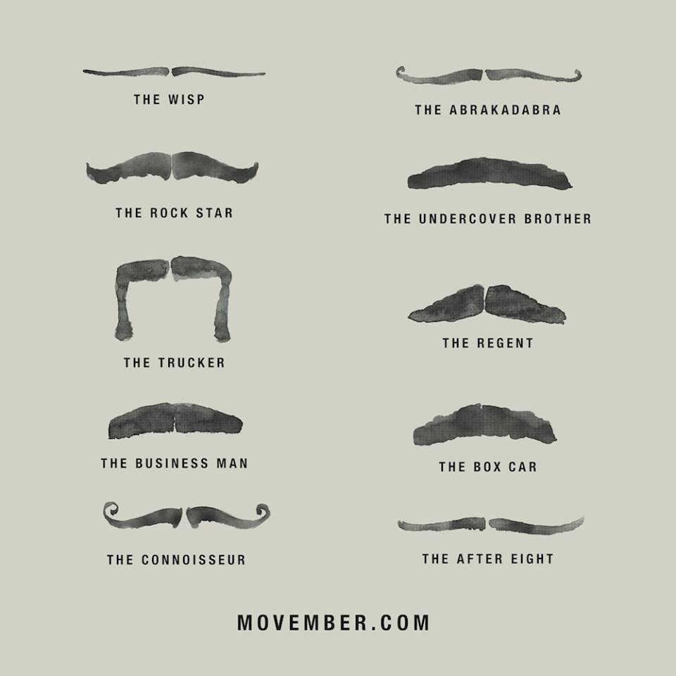 Ready for No Shave November? This guide will teach you the basics. #Movember #NoShaveNovember #beards