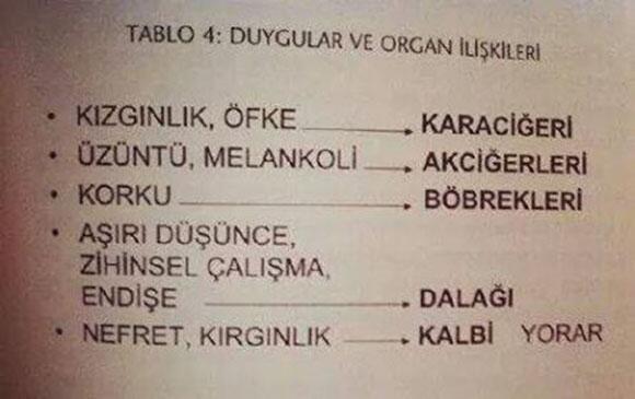 HergunYeniBilg's tweet photo. Duygular ve organ ilişkileri... https://t.co/IPq45mklQa