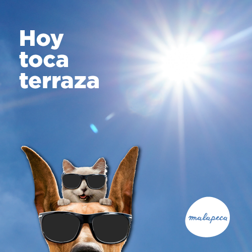 Después de la noche de ayer, toca reunir a todos los amigos para contar todas las batallitas que os pasaron.