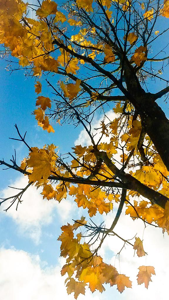 leah_nnc's tweet photo. Happy November! Time flies &amp; opportunities lie ahead. #lookup #lookforward #bepresent #beyourself #beyourself #Brum https://t.co/ATgjlfCleQ