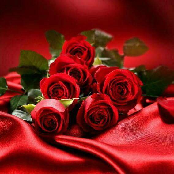 ahmad_alsari1's tweet photo. من أجمل الحسابات بتويتر .. 
حساب راقي كصاحبته ..
@m199z 

 #مهاوي_العز_في_كلمتين https://t.co/V72lZ4oOer