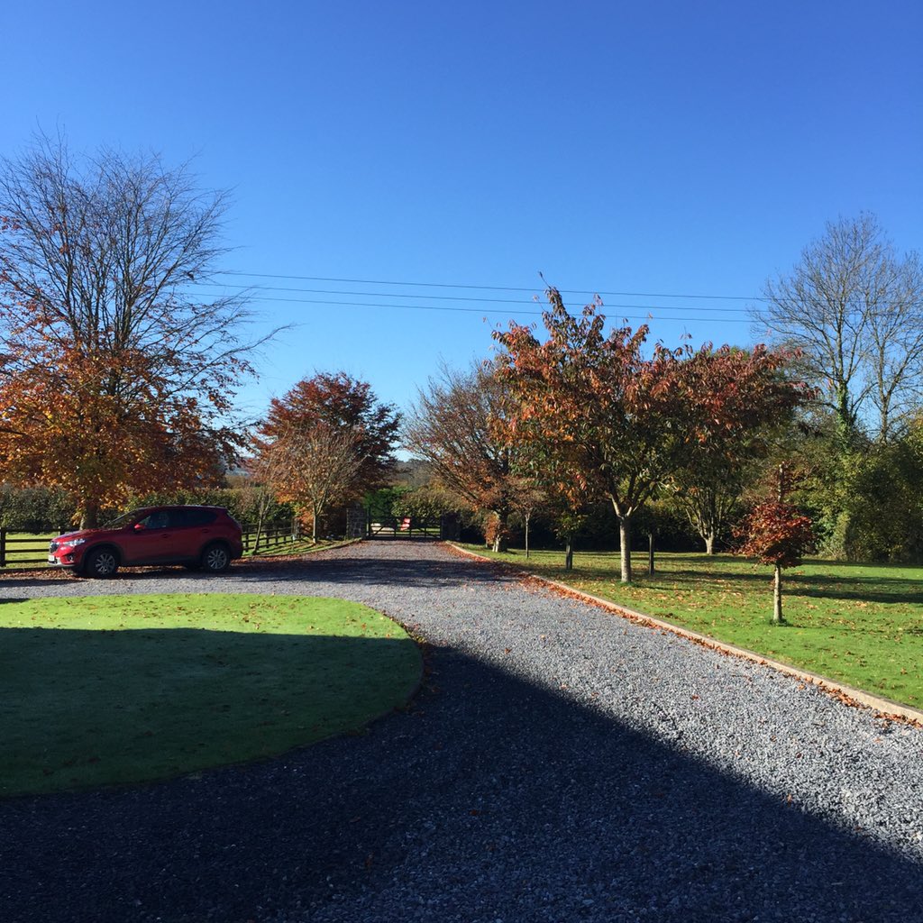 Beautiful Autumn day 😎🍂🍁☀️