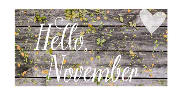 BDLingerie's tweet photo. Hello November,add colour to your life, we have the perfect #lingerie and #swimwear for you. https://t.co/oHxLNVO3CO https://t.co/kwGHwRU5bW