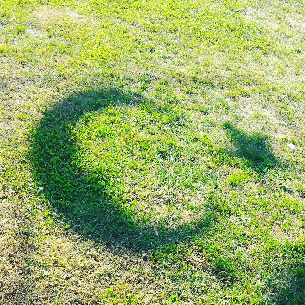 Oy kullanmak icin son saatler! Dilerseniz oy sayimini sandik basinda izleyebilirsiniz. #secim2015 #1Kasım #oykullan