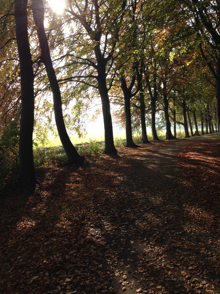 Hans_Struik's tweet photo. Gewoon mooi https://t.co/3SjIAUl3dE