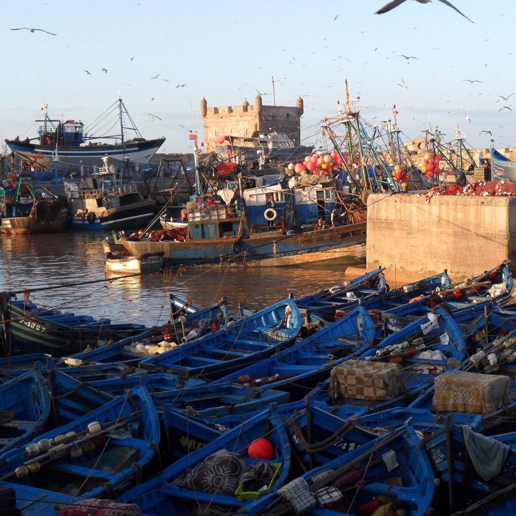 Fishing boats. #riadchameleon #marrakechdaytrip #marrakechholiday