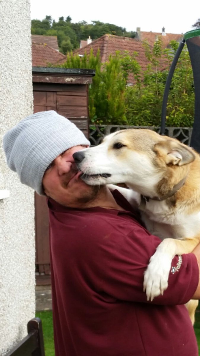 SueDewy's tweet photo. @fatmanthindog #snogs https://t.co/V4FRET118g