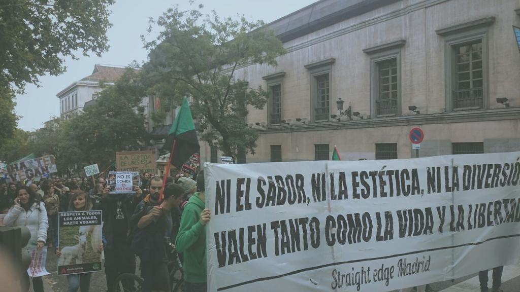 STRAIGHTEDGEMAD's tweet photo. Día mundial del veganismo. Por la liberación animal. https://t.co/VwwHL2Z8JU