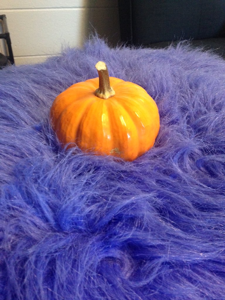 LisaThePumpkin's tweet photo. I have been returned to my home and now recovering after the 'spooky' events that occurred this morning 💤 https://t.co/8HYE4NEe6O